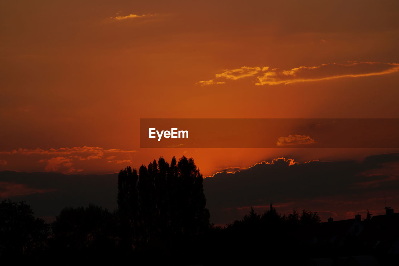 Silhouette trees against dramatic sky during sunset