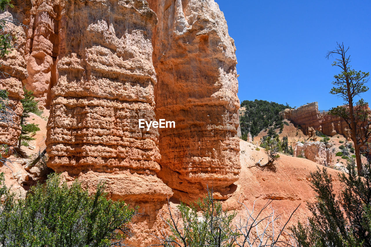 rock, rock formation, arch, nature, plant, travel destinations, canyon, scenics - nature, no people, travel, land, non-urban scene, tree, desert, ancient history, landscape, wadi, geology, sky, beauty in nature, valley, eroded, environment, clear sky, day, physical geography, tranquility, history, formation, outdoors, tourism, architecture, sandstone, ancient, ruins, sunlight, semi-arid, sunny, the past, climate, tranquil scene, cliff, mountain, blue, arid climate, extreme terrain, terrain
