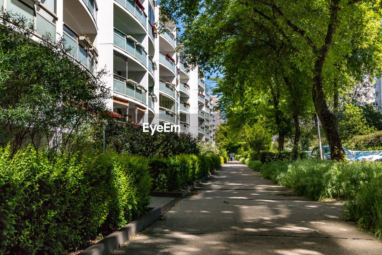 Street amidst trees and plants in city