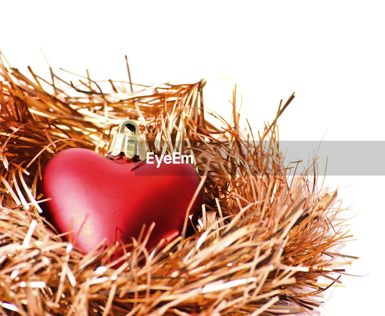 CLOSE-UP OF PLANT IN BOWL
