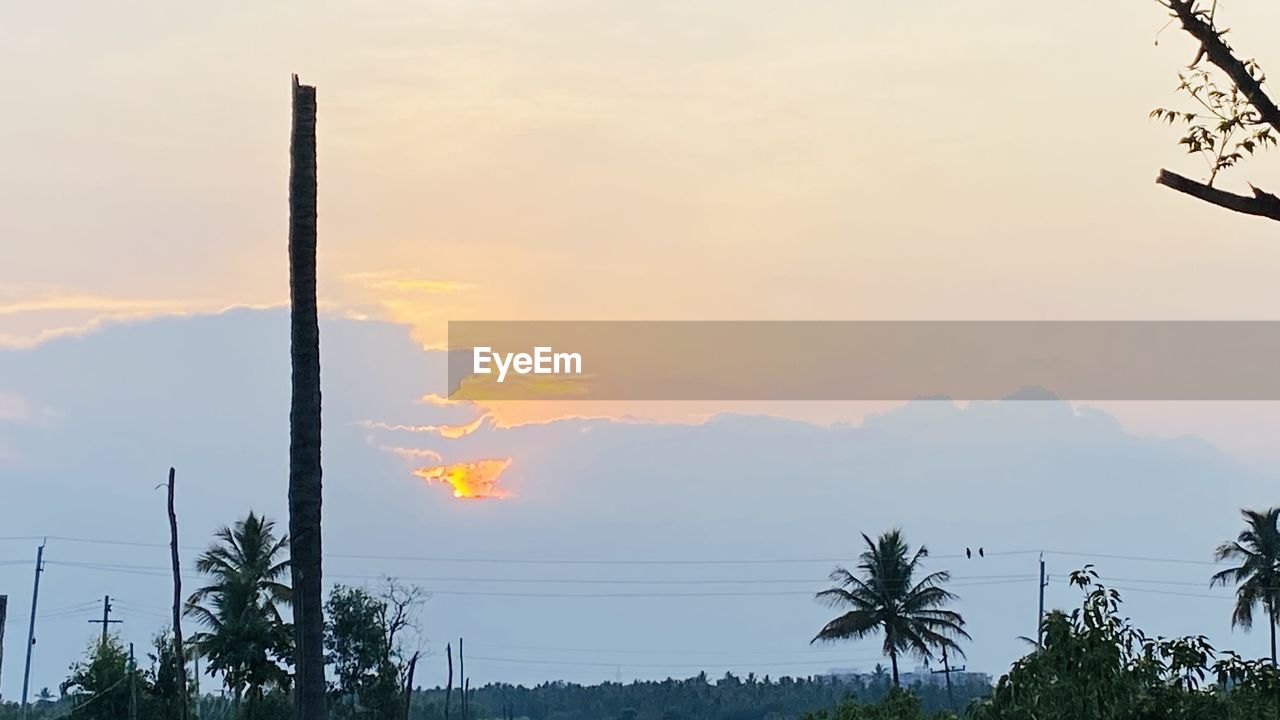 SILHOUETTE TREES AGAINST SKY AT SUNSET