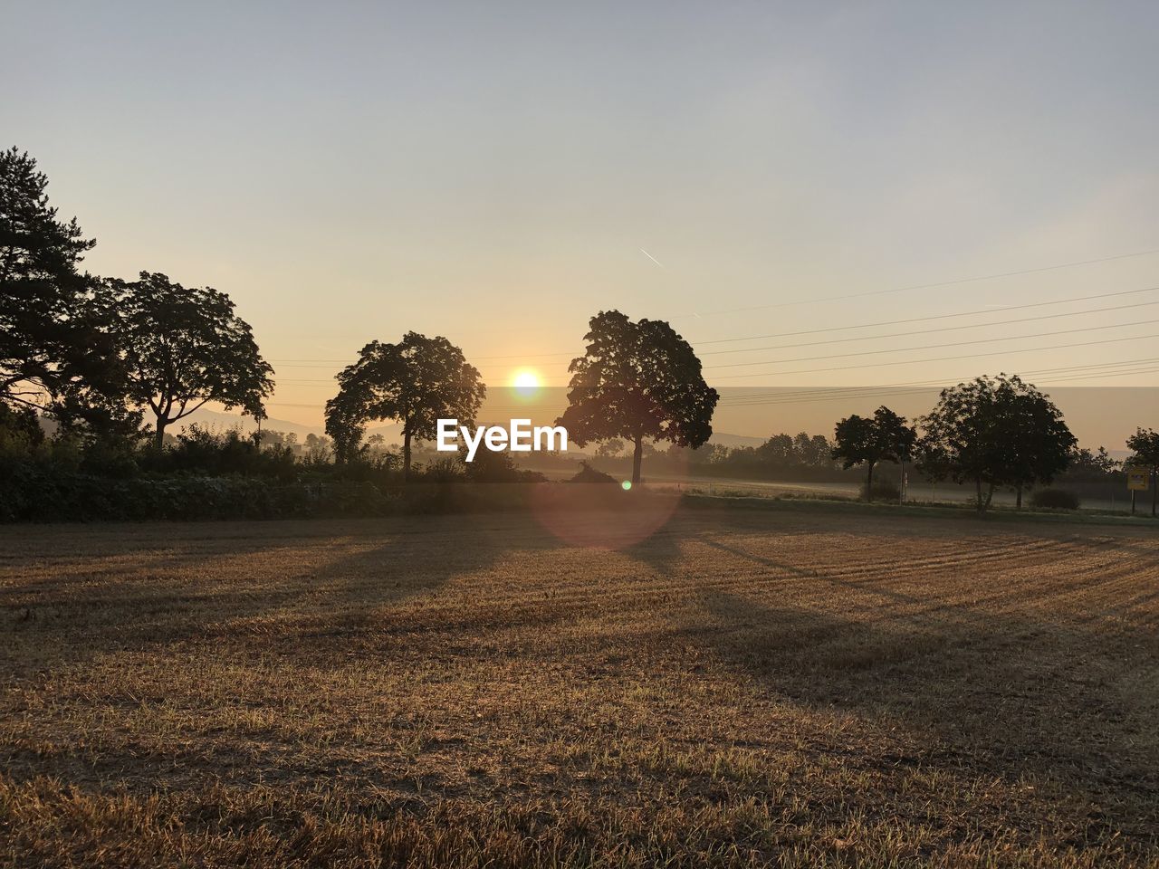 TREES ON FIELD AGAINST SKY AT SUNSET