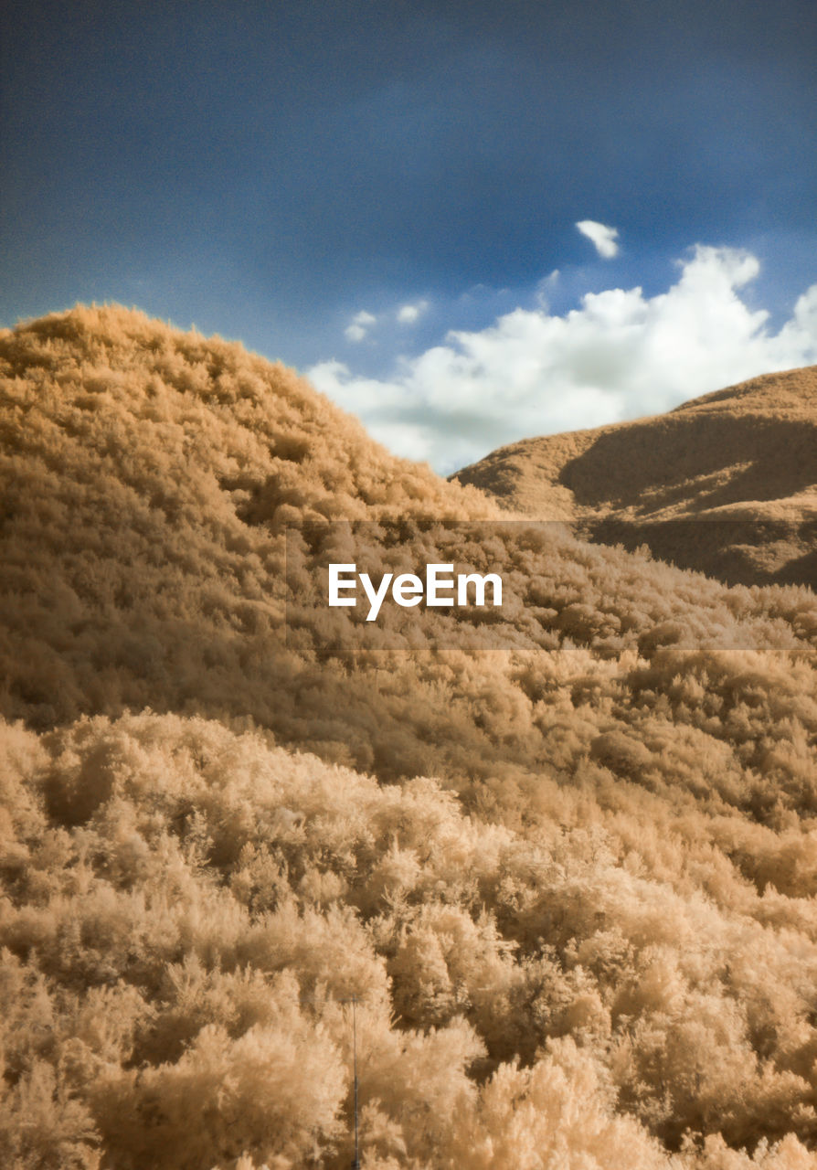 cloud, sky, environment, landscape, nature, scenics - nature, no people, beauty in nature, mountain, land, snow, sand, rock, outdoors, day, travel, cloudscape, tranquility, plant, non-urban scene, mountain range