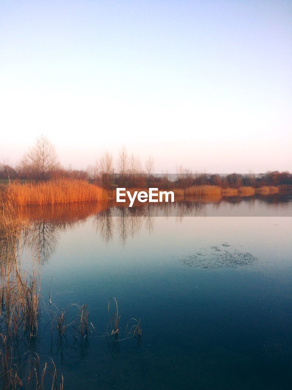 REFLECTION OF TREES IN LAKE AGAINST SKY