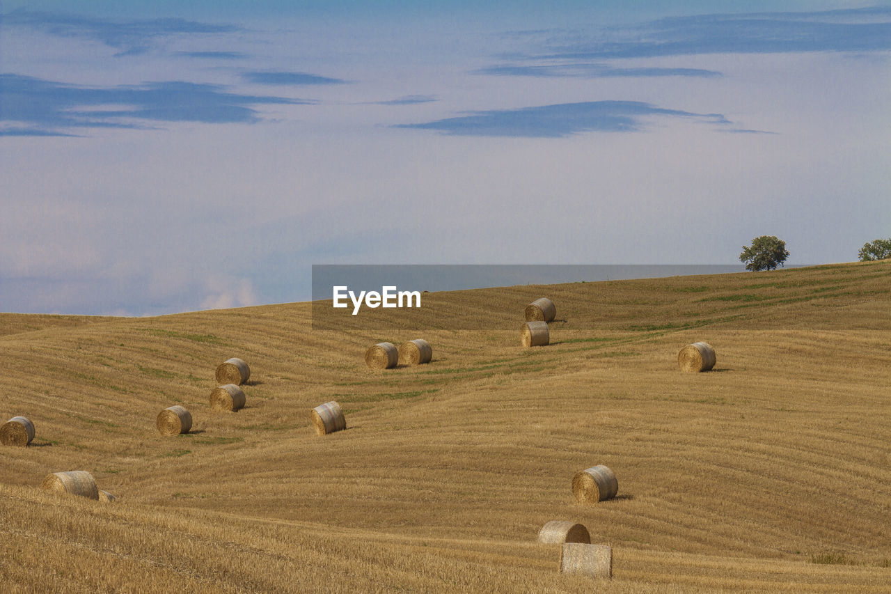 HAY BALES ON FIELD BY LAND AGAINST SKY