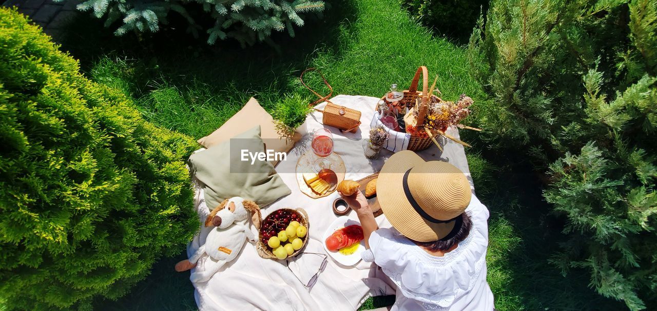 HIGH ANGLE VIEW OF VEGETABLES ON TABLE AGAINST TREES
