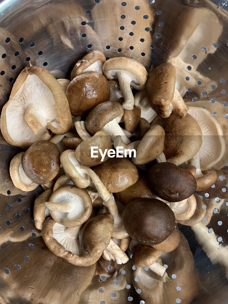 High angle view of mushrooms in a bowl