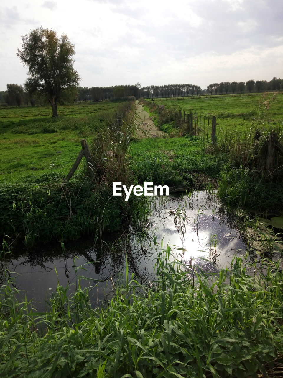 SCENIC VIEW OF POND IN FIELD