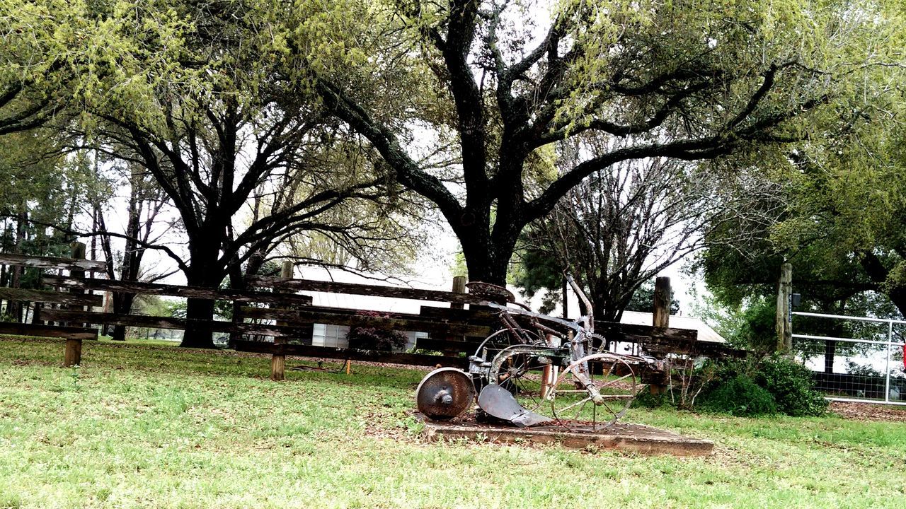 PARKED CARS ON GRASSY FIELD