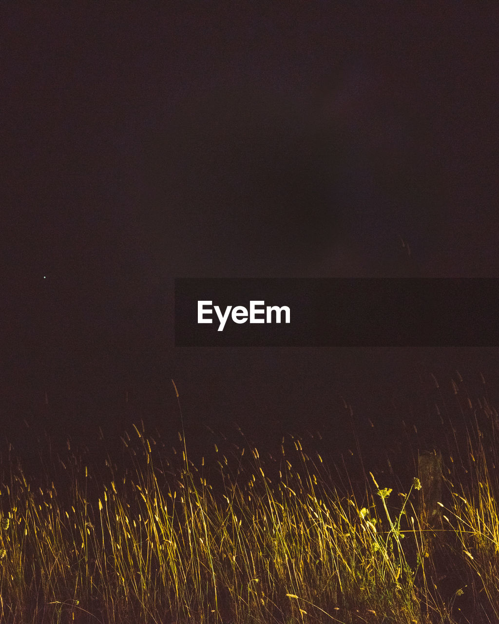 Scenic view of field against sky at night