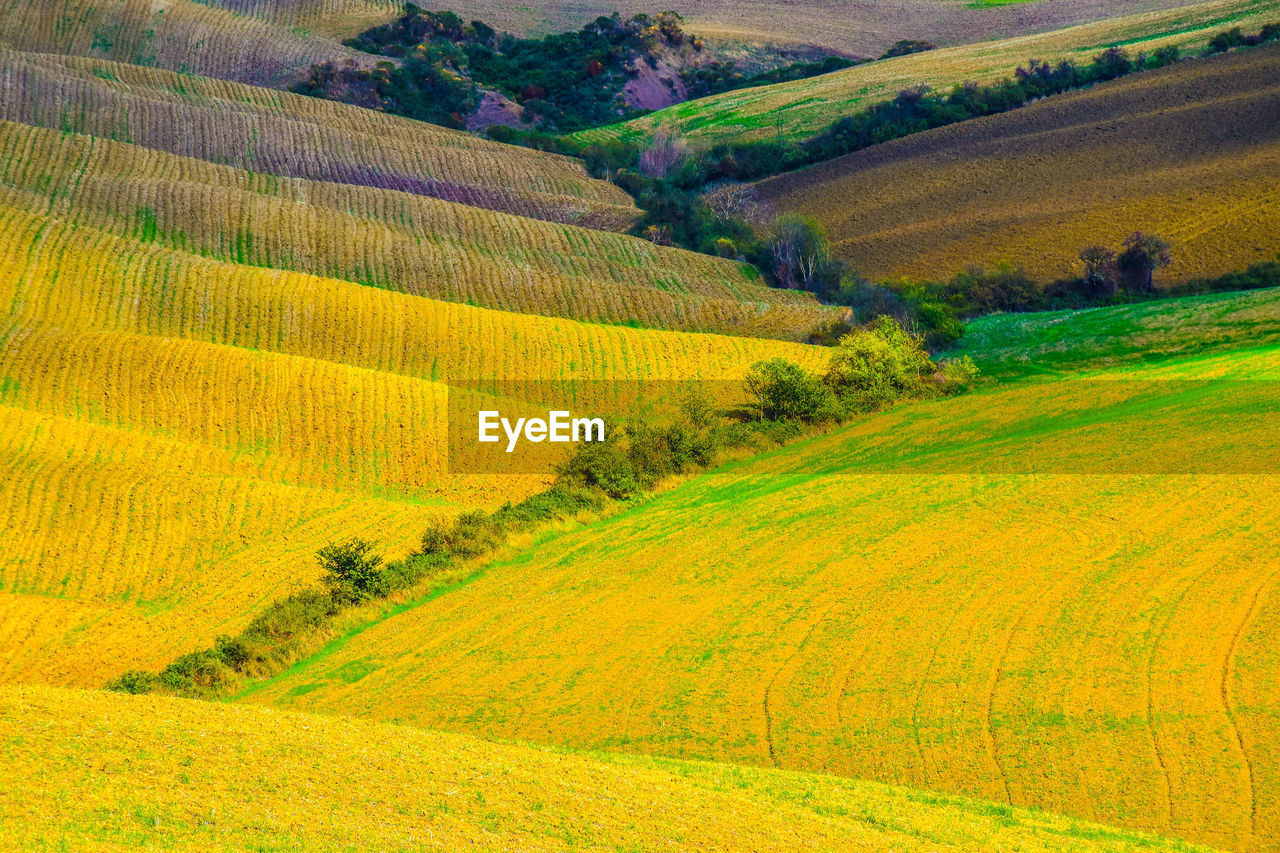 high angle view of agricultural field