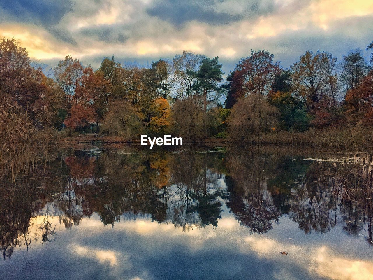 Reflection of trees in lake against sky