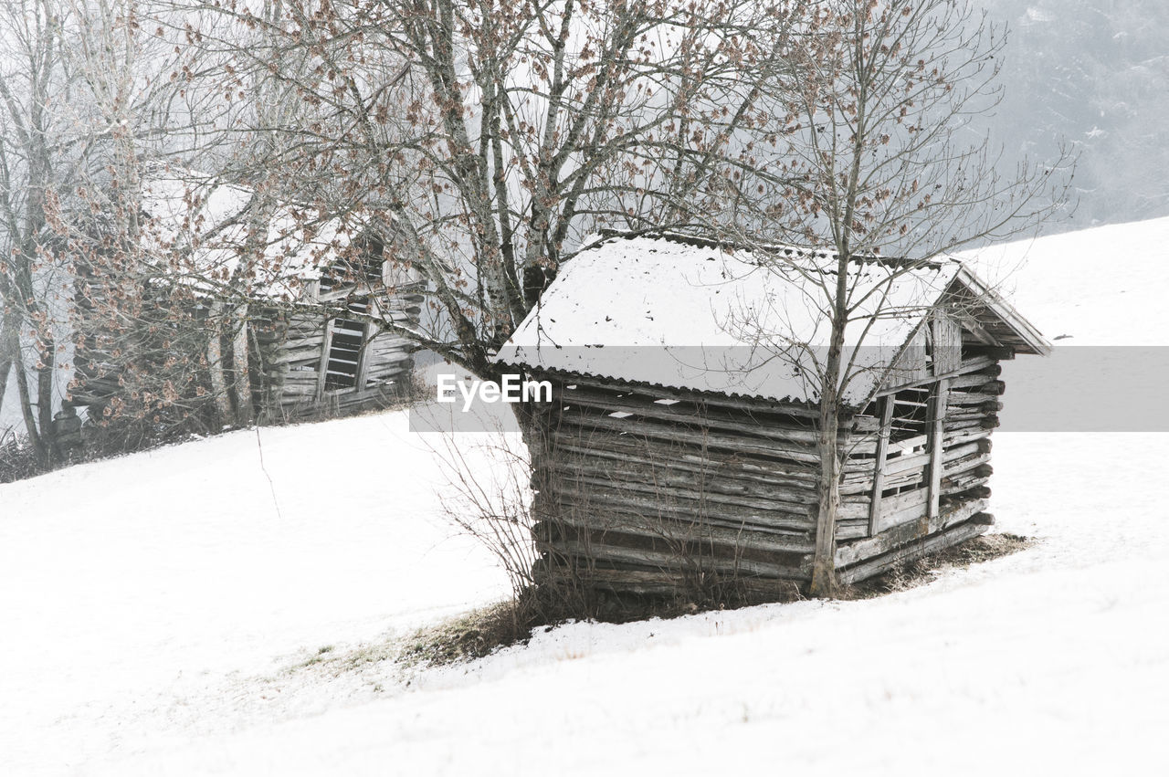 Bare trees by hut on snow covered field