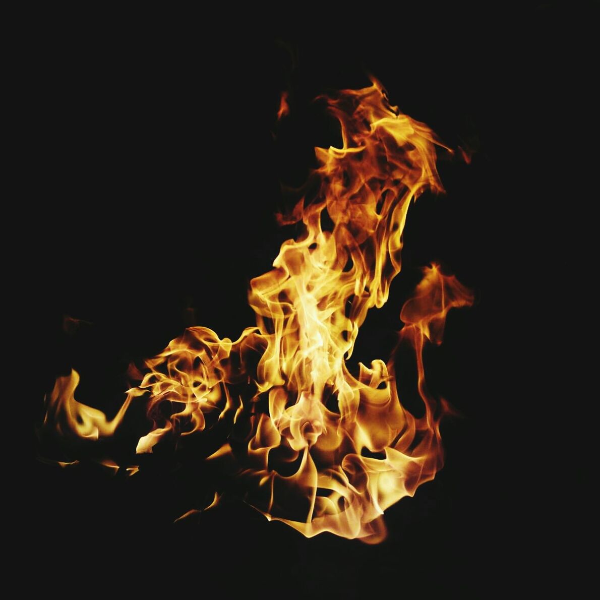 Close-up of fire against black background