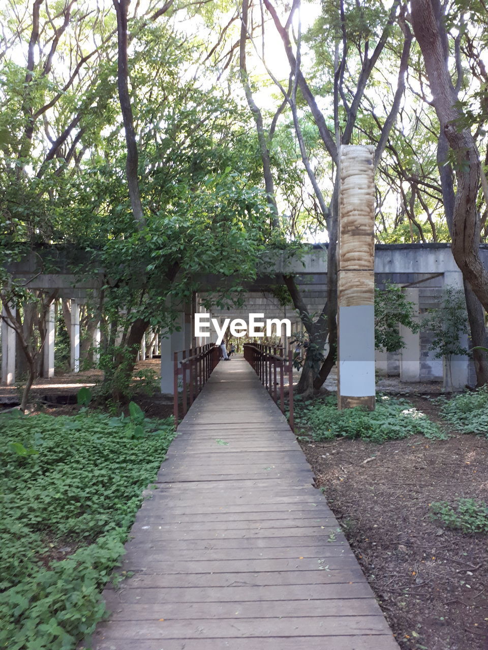 WALKWAY LEADING TO TREES