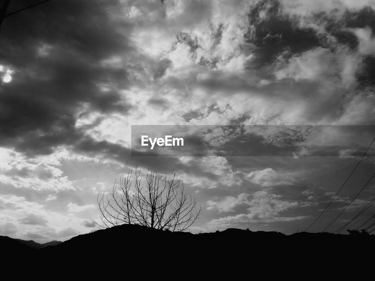 LOW ANGLE VIEW OF SILHOUETTE TREES AGAINST SKY DURING SUNSET