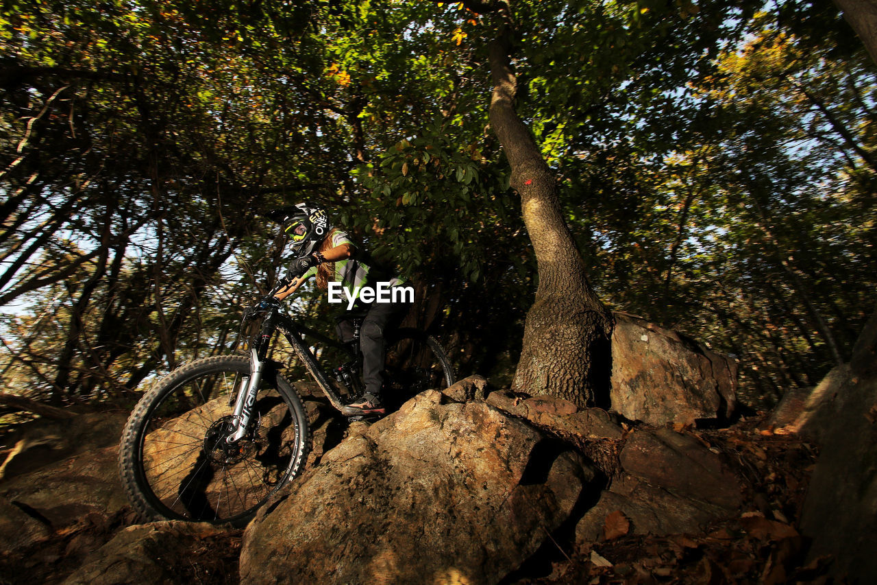 LOW ANGLE VIEW OF BICYCLE ON TREE TRUNK