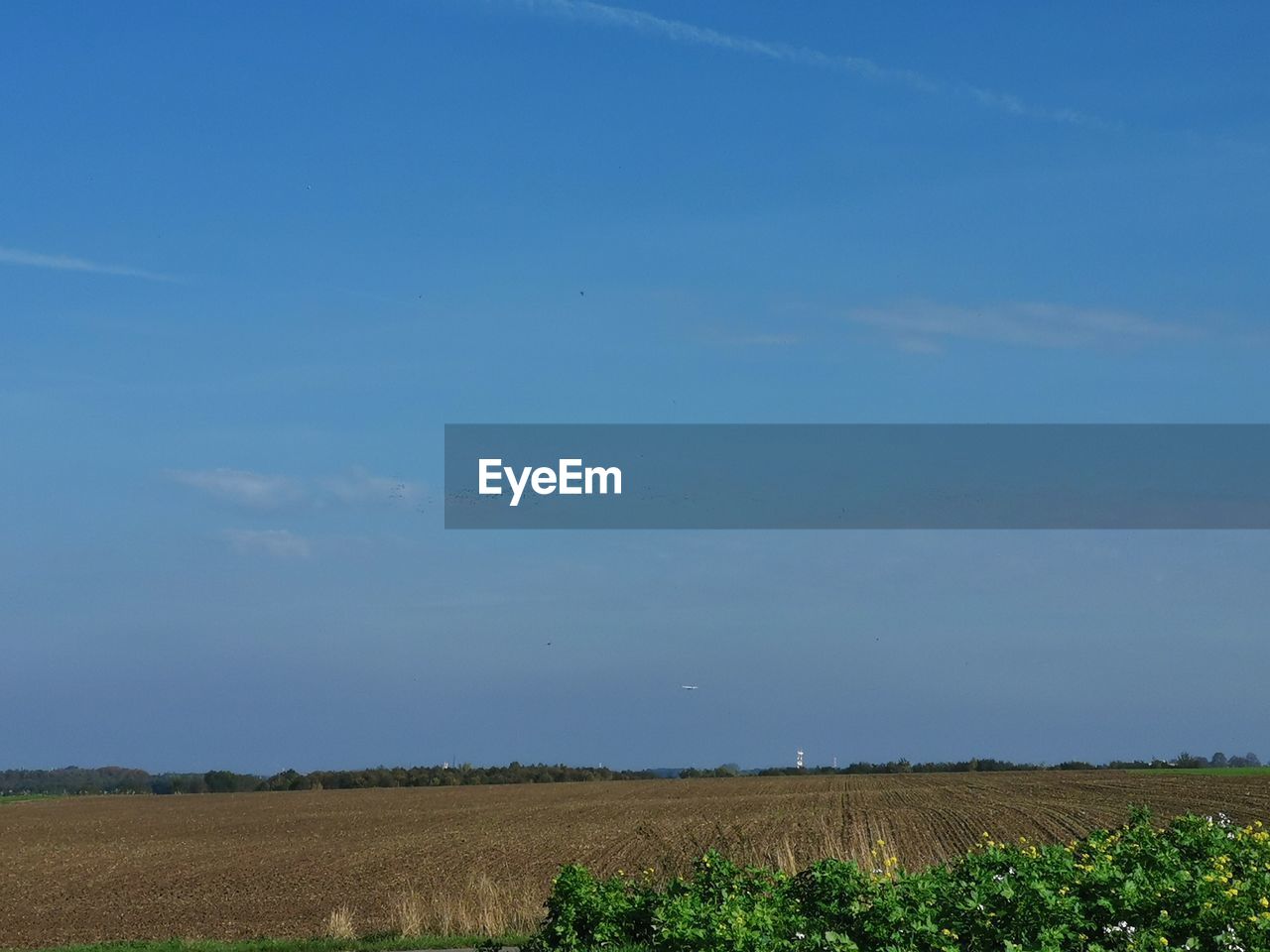 SCENIC VIEW OF FARM AGAINST SKY