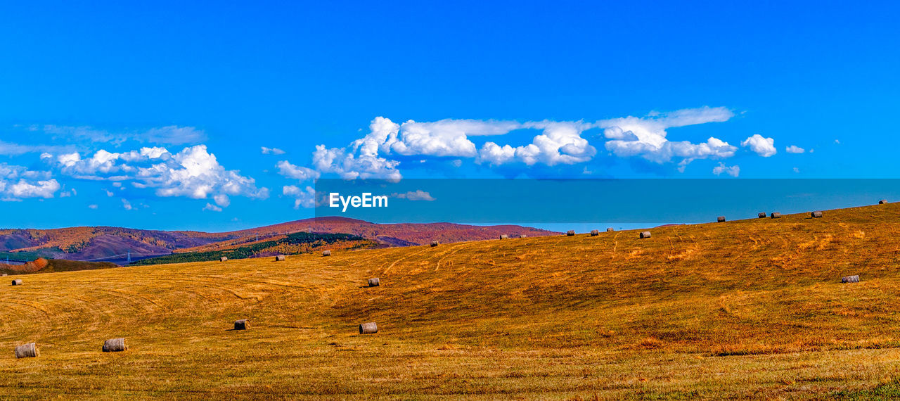 Scenic view of field against blue sky