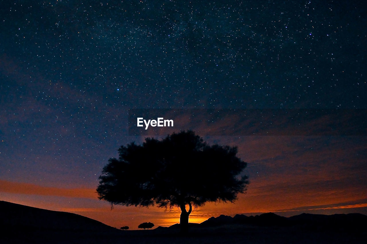 Silhouette trees against sky at night