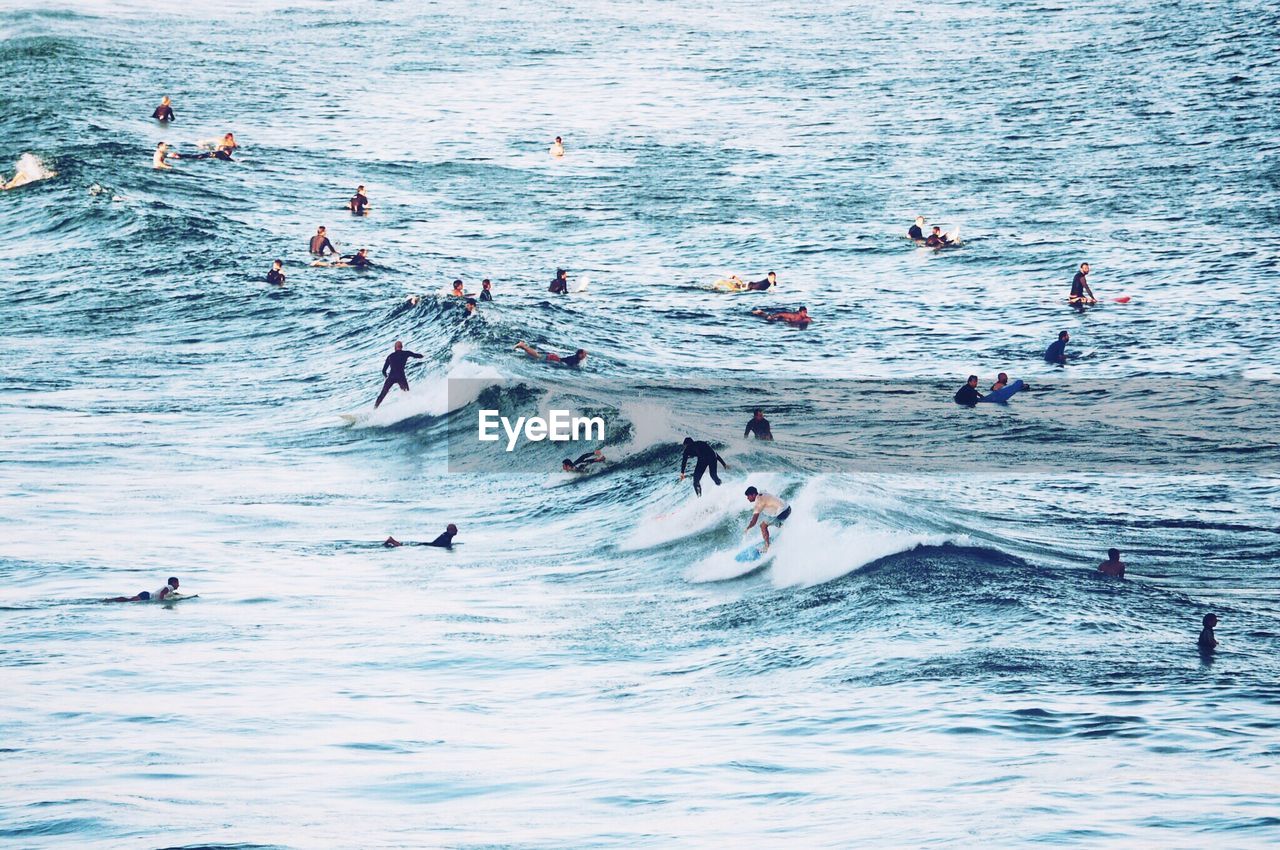 High angle view of people surfing in sea