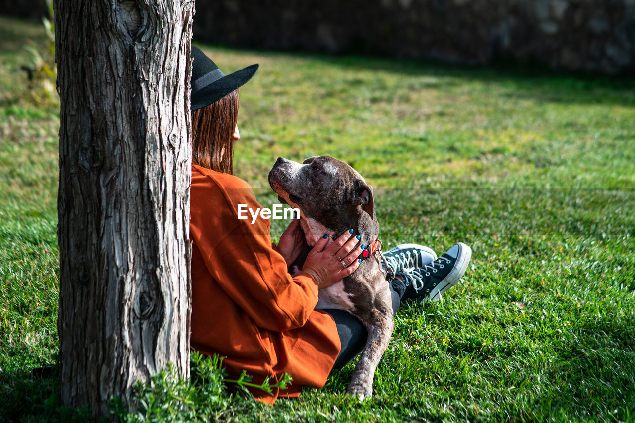 Dog sitting on field