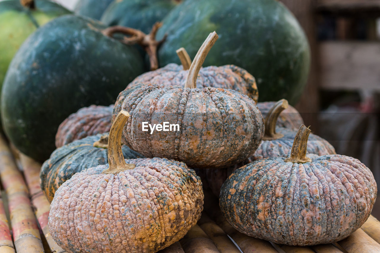 Close-up of pumpkins in market