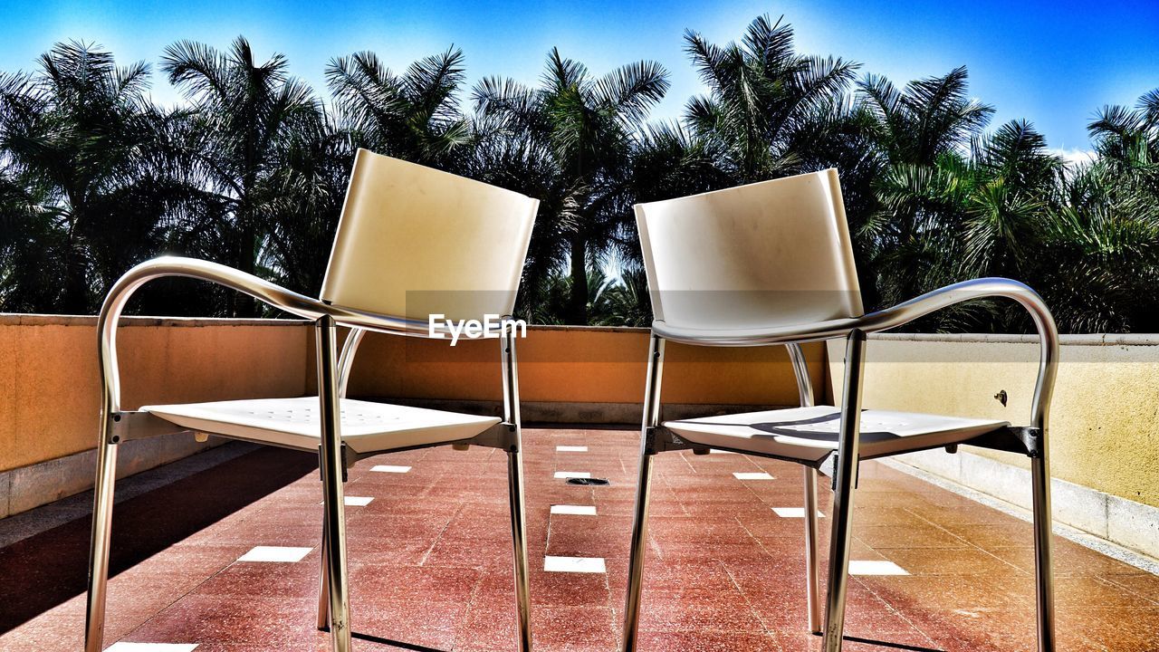 EMPTY CHAIRS AGAINST TREES DURING SUNNY DAY