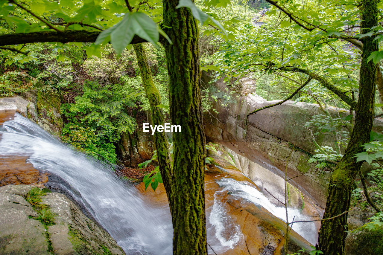 SCENIC VIEW OF WATERFALL