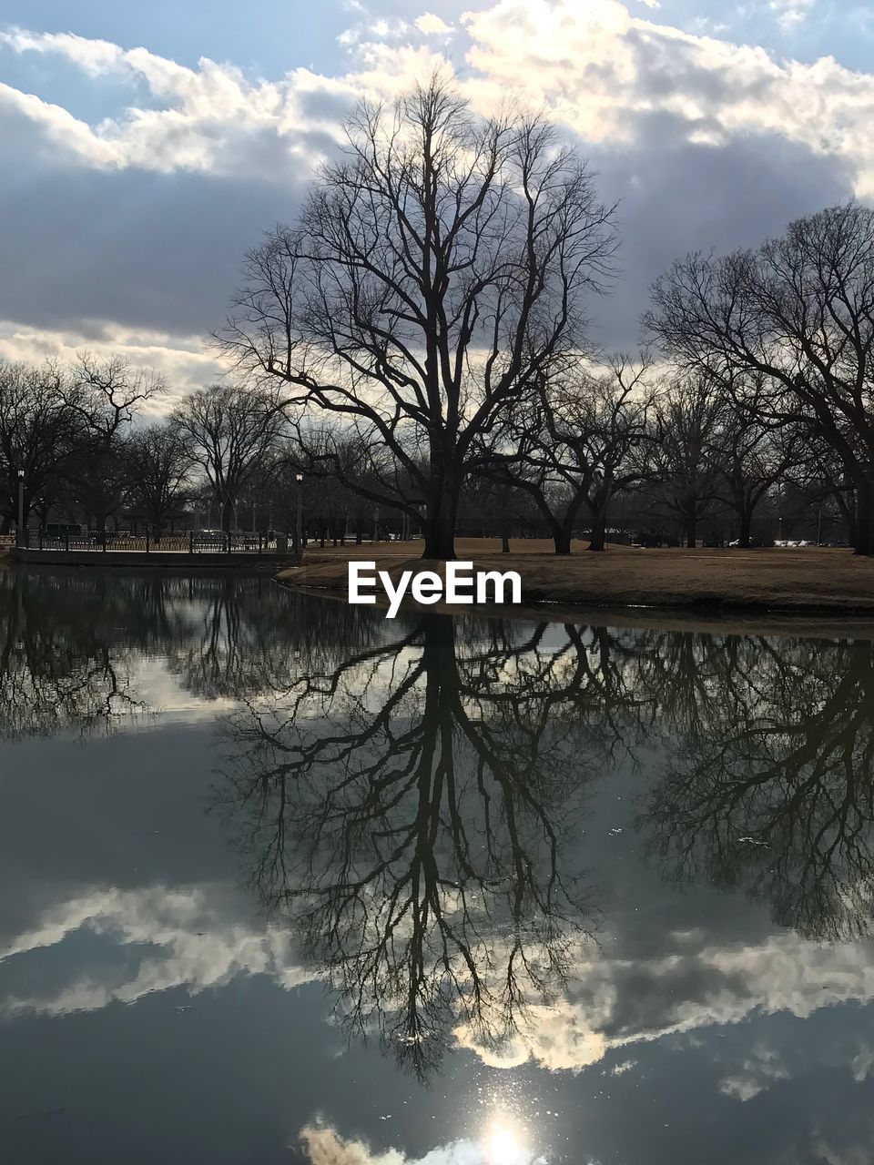 BARE TREES BY LAKE AGAINST SKY