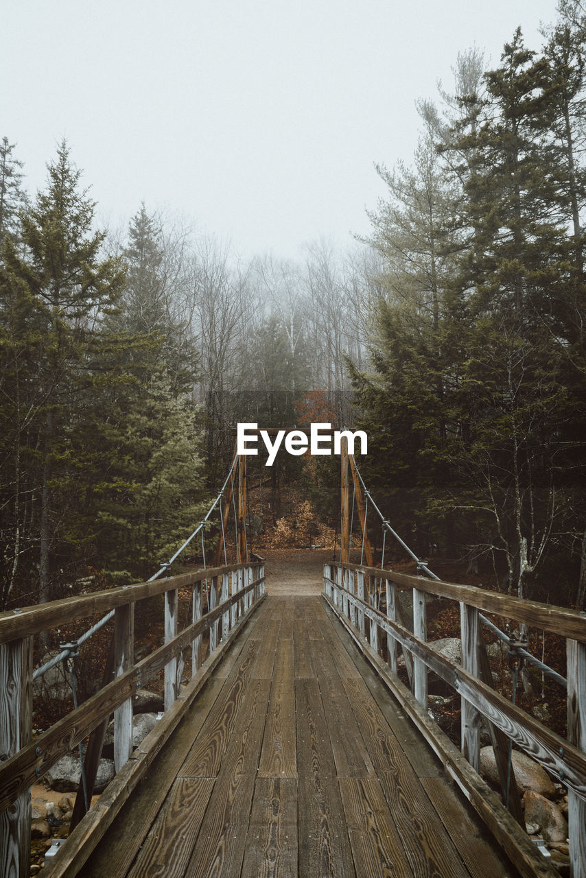 Empty footbridge amidst trees against sky at forest