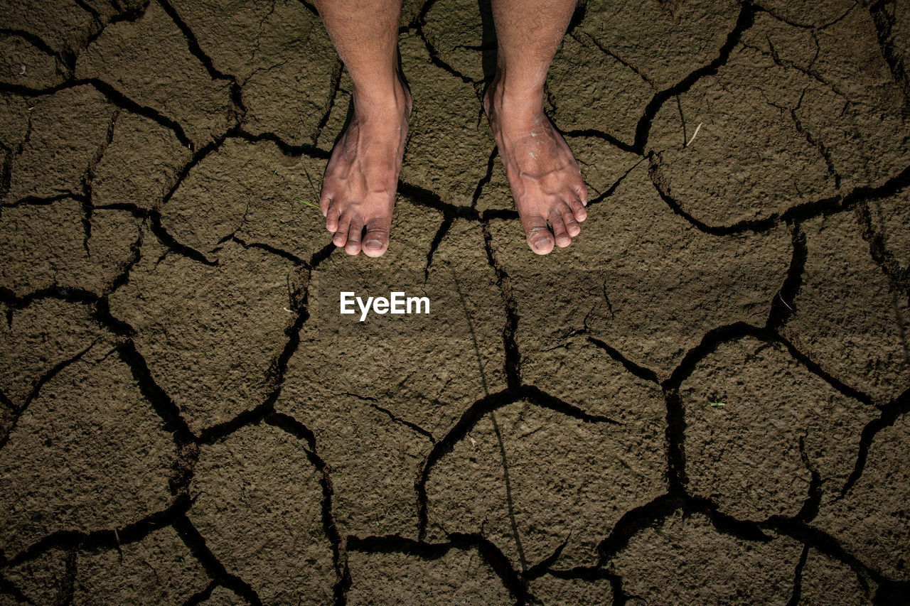 soil, drought, cracked, climate, nature, dry, arid climate, land, environment, high angle view, one person, dirt, barren, low section, pattern, outdoors, scenics - nature, day, human leg, environmental issues, limb, barefoot, adult, lifestyles, landscape, standing, leisure activity, hand, desert, men, human limb, mud, shadow