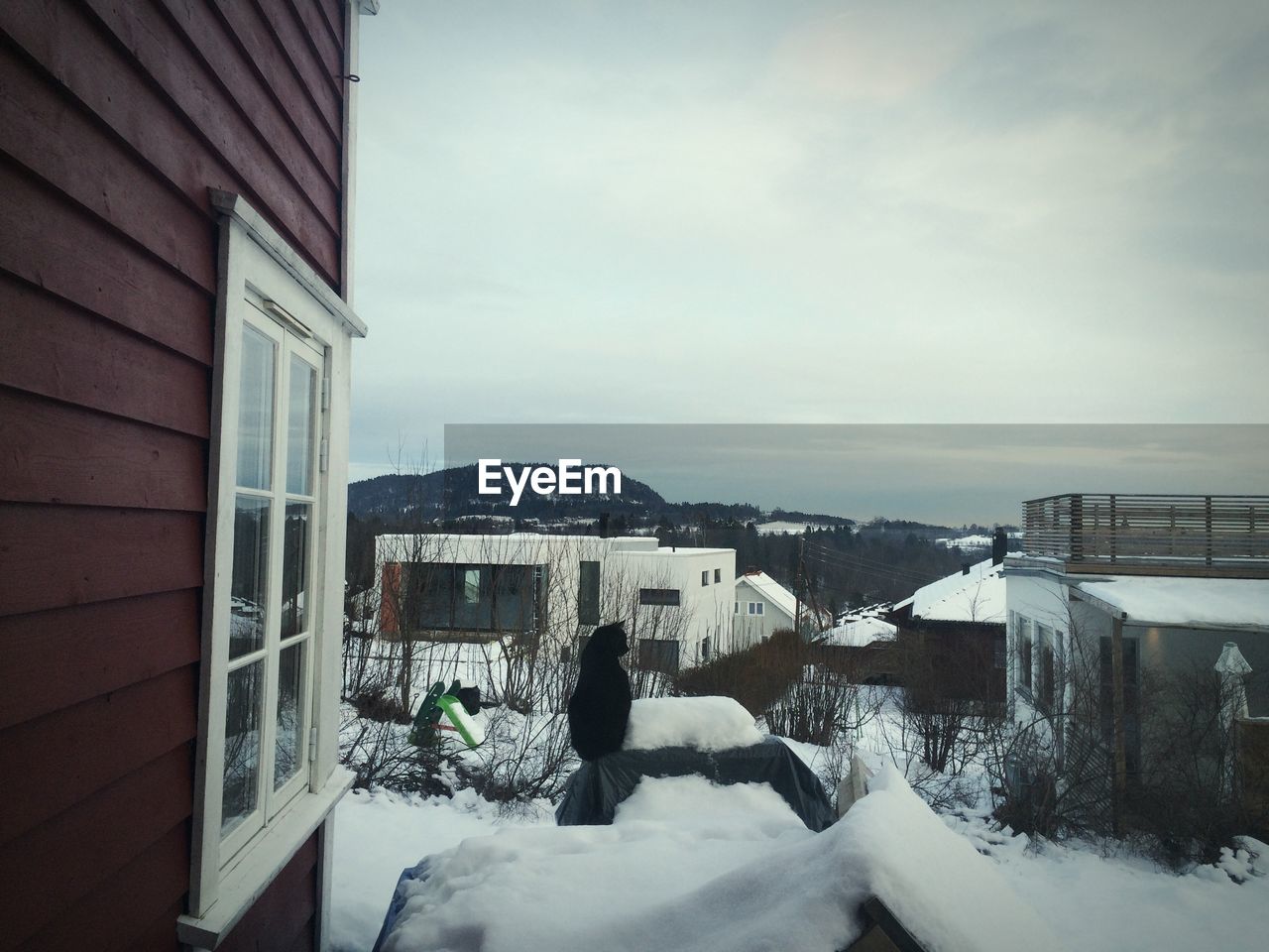 Black cat sitting in front of snow covered house