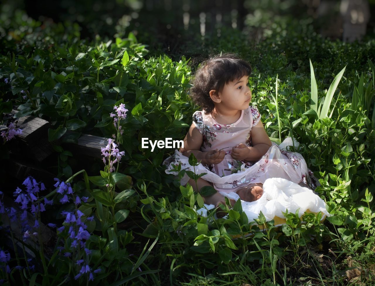 Little girl sitting in flower garden