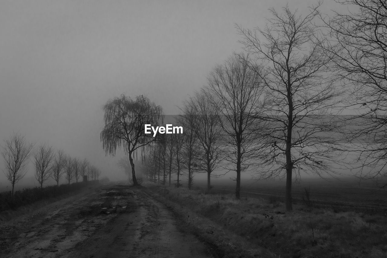 Road amidst bare trees on field against sky