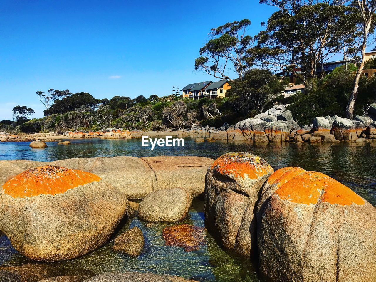 SCENIC VIEW OF BEACH AGAINST CLEAR SKY