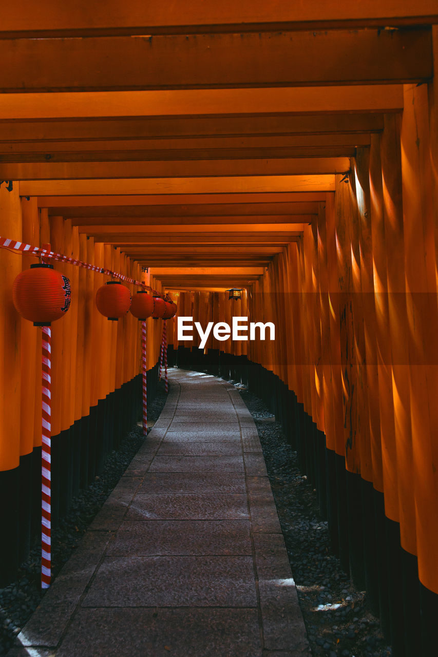 Fushimi inari shrine, kyoto, japan. the 10,000 torii sanctuary