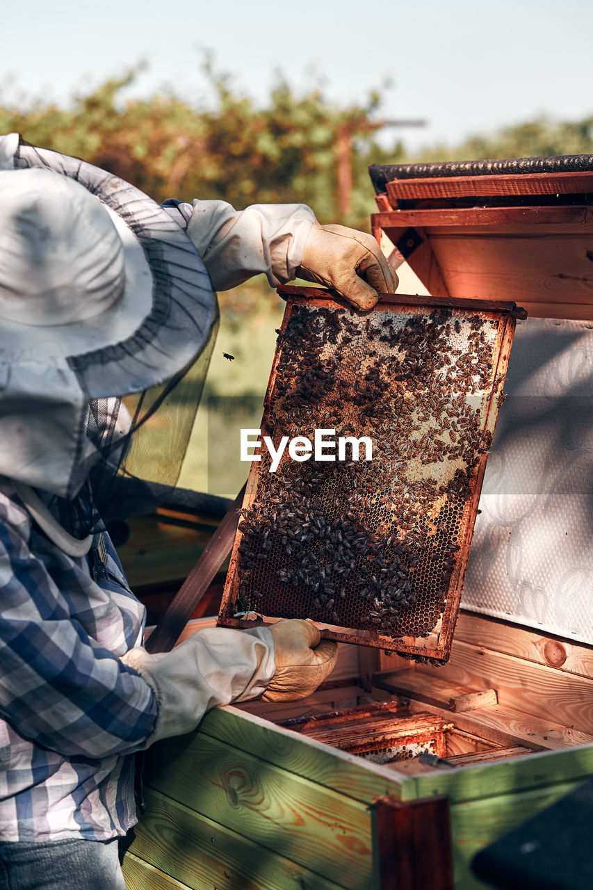 Bee keeper working while standing in park