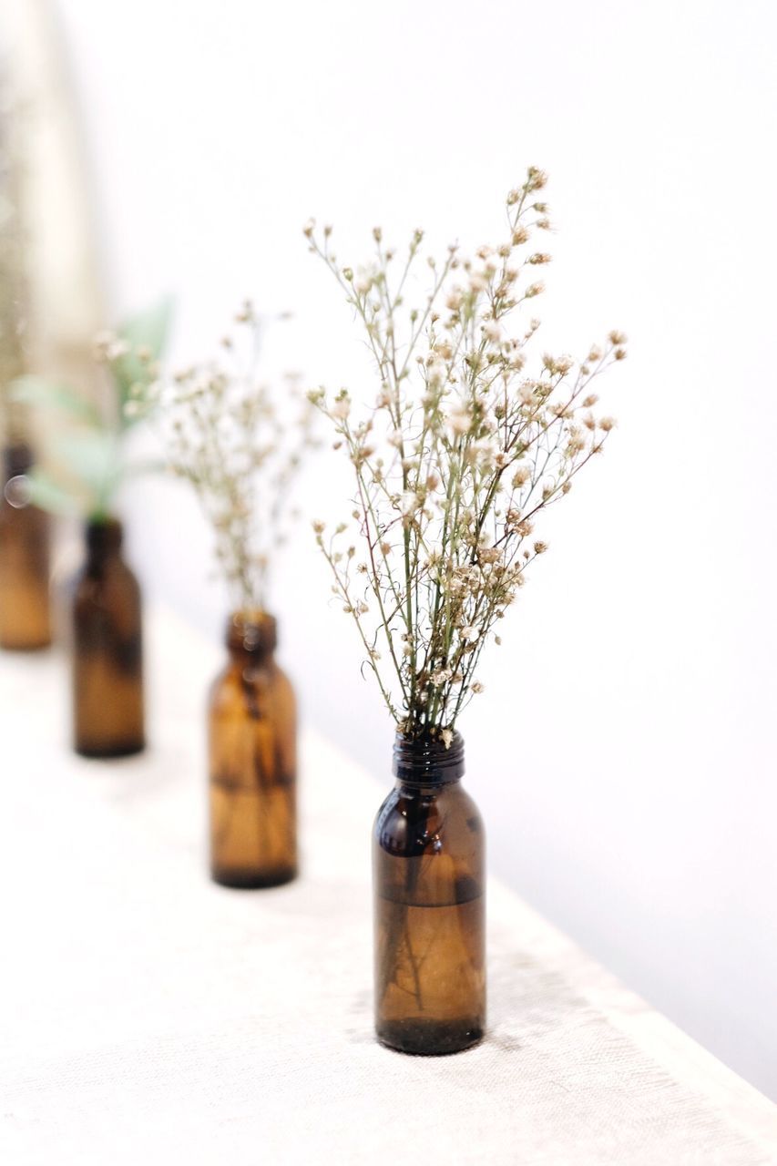 Close-up of flower in vases on table against white background