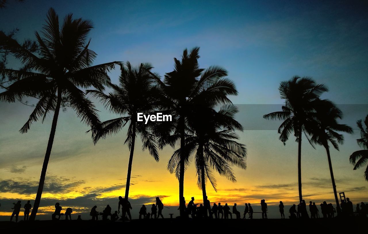 SILHOUETTE PALM TREES AGAINST SKY DURING SUNSET
