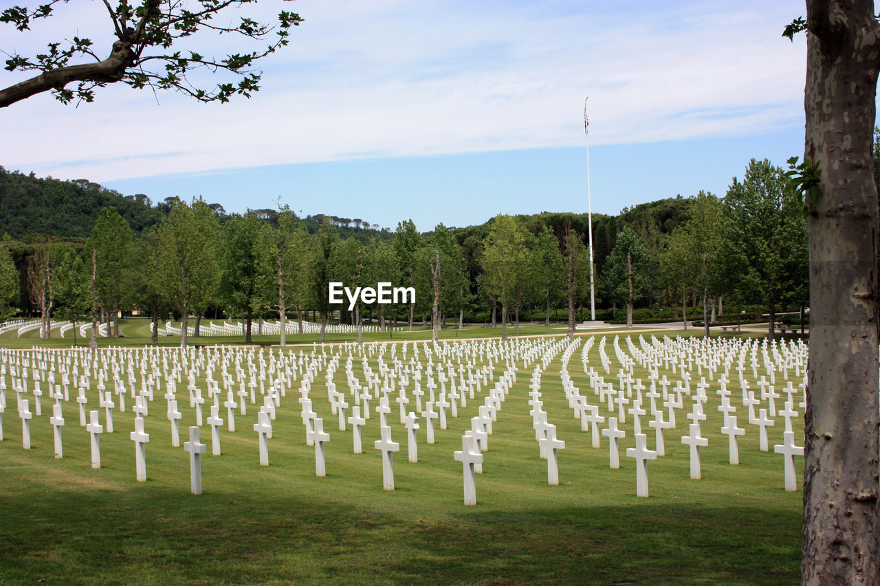 PANORAMIC VIEW OF CEMETERY