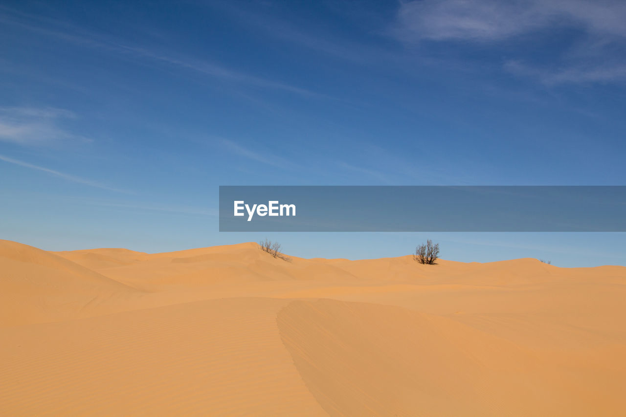 SCENIC VIEW OF DESERT LANDSCAPE