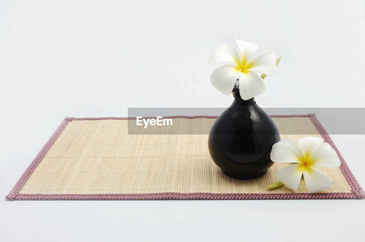 CLOSE-UP OF WHITE FLOWER ON TABLE AGAINST GRAY BACKGROUND