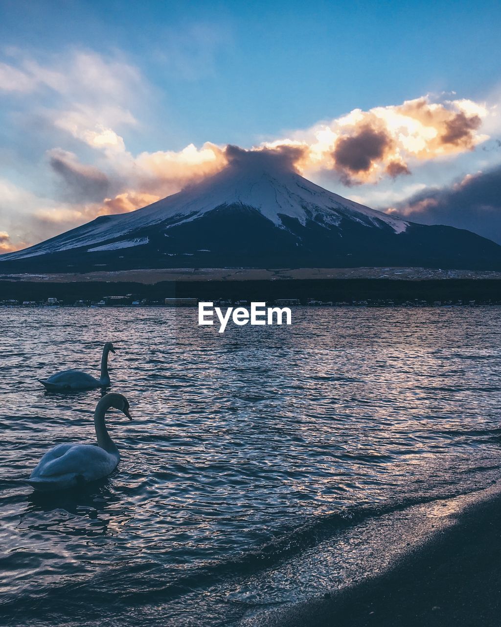 Swans perching on scenic lake by mountain against sky during sunset