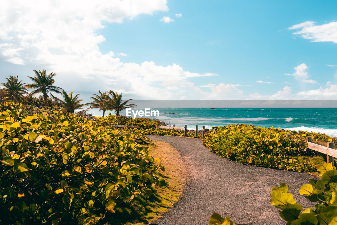 Peaceful tropical coast walkway with nice views in the coast with trails from puerto rico