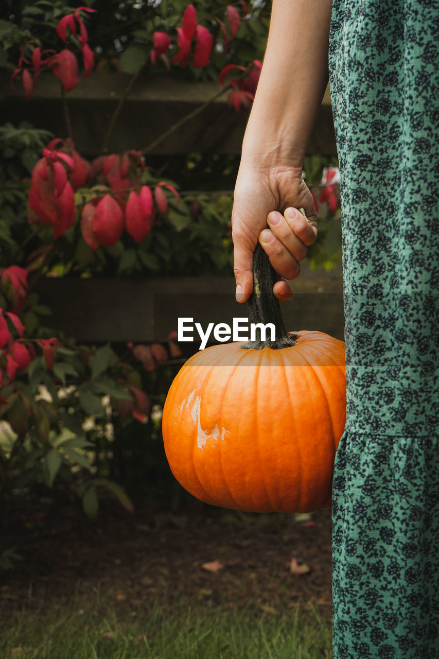 Low angle view of person holding pumpkin during autumn