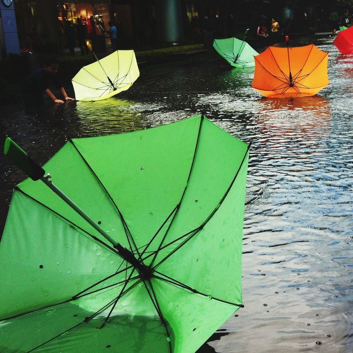 Umbrellas in street