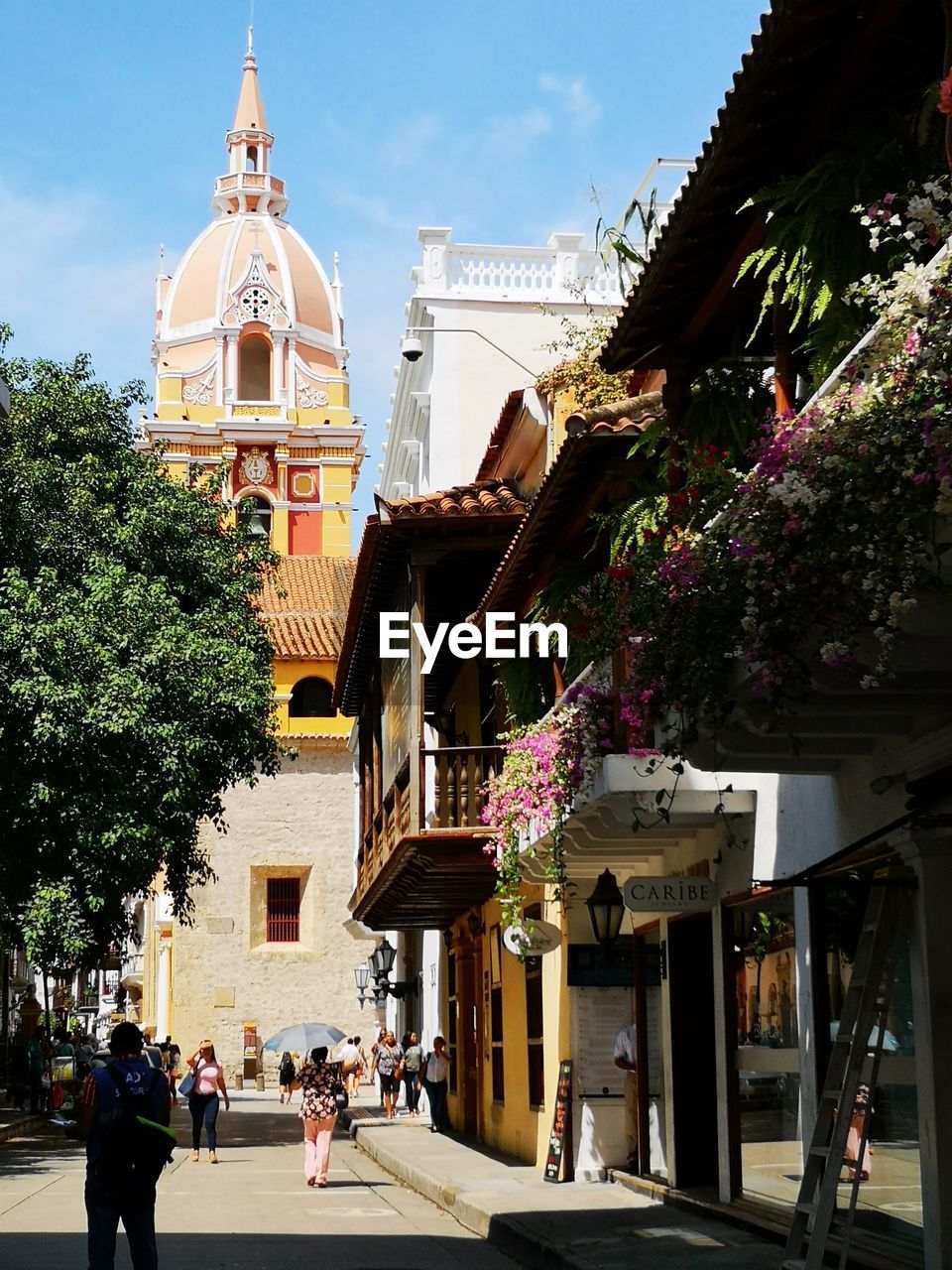 View of buildings and trees in city