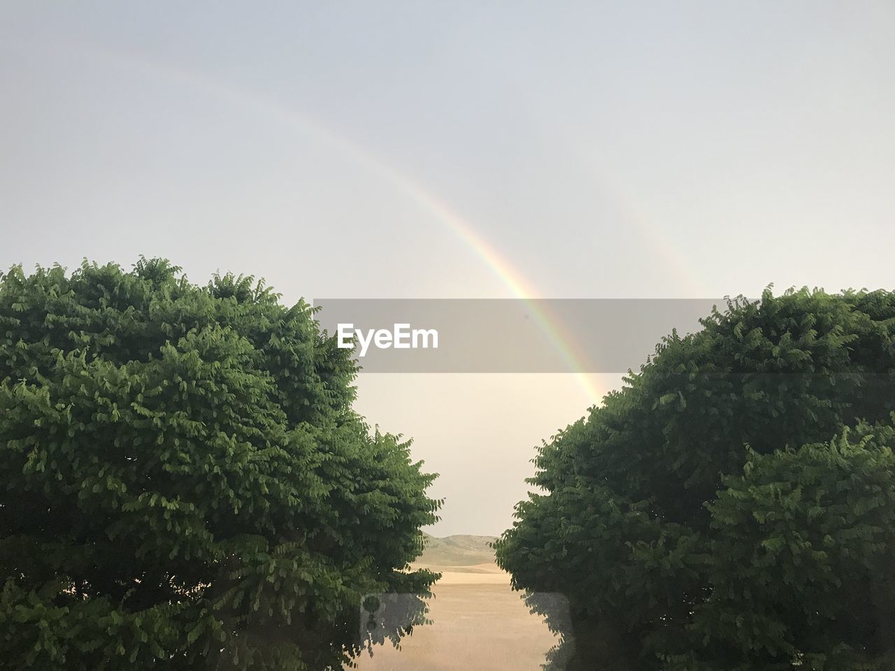 RAINBOW OVER TREES AND PLANTS AGAINST SKY