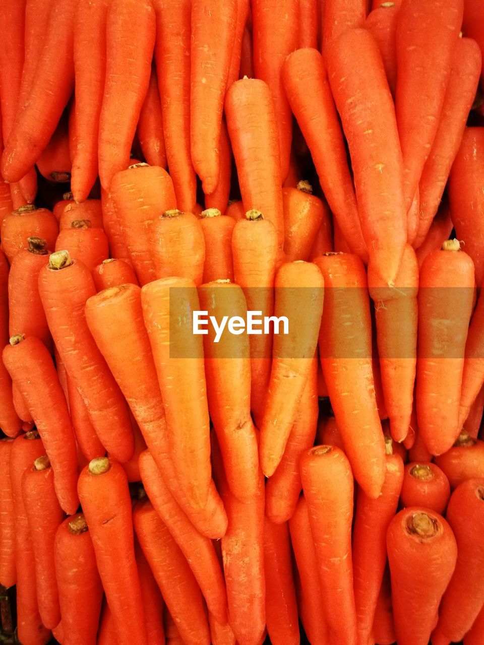 FULL FRAME SHOT OF CARROTS